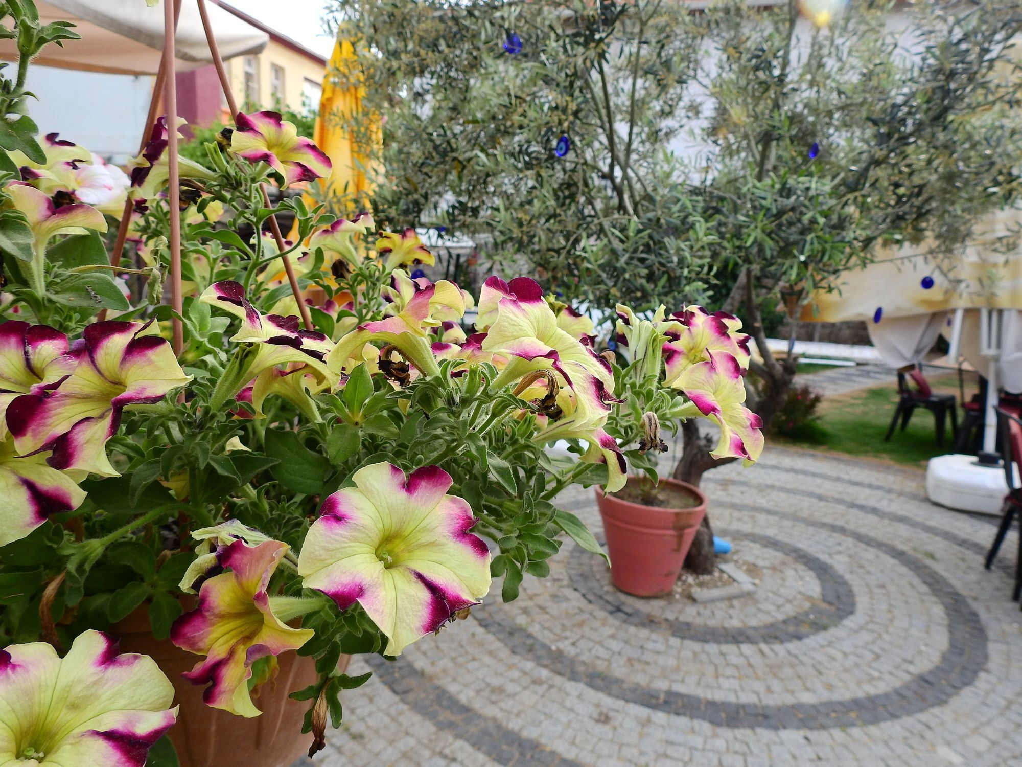 Ayvalı Eden Selene Hotel מראה חיצוני תמונה